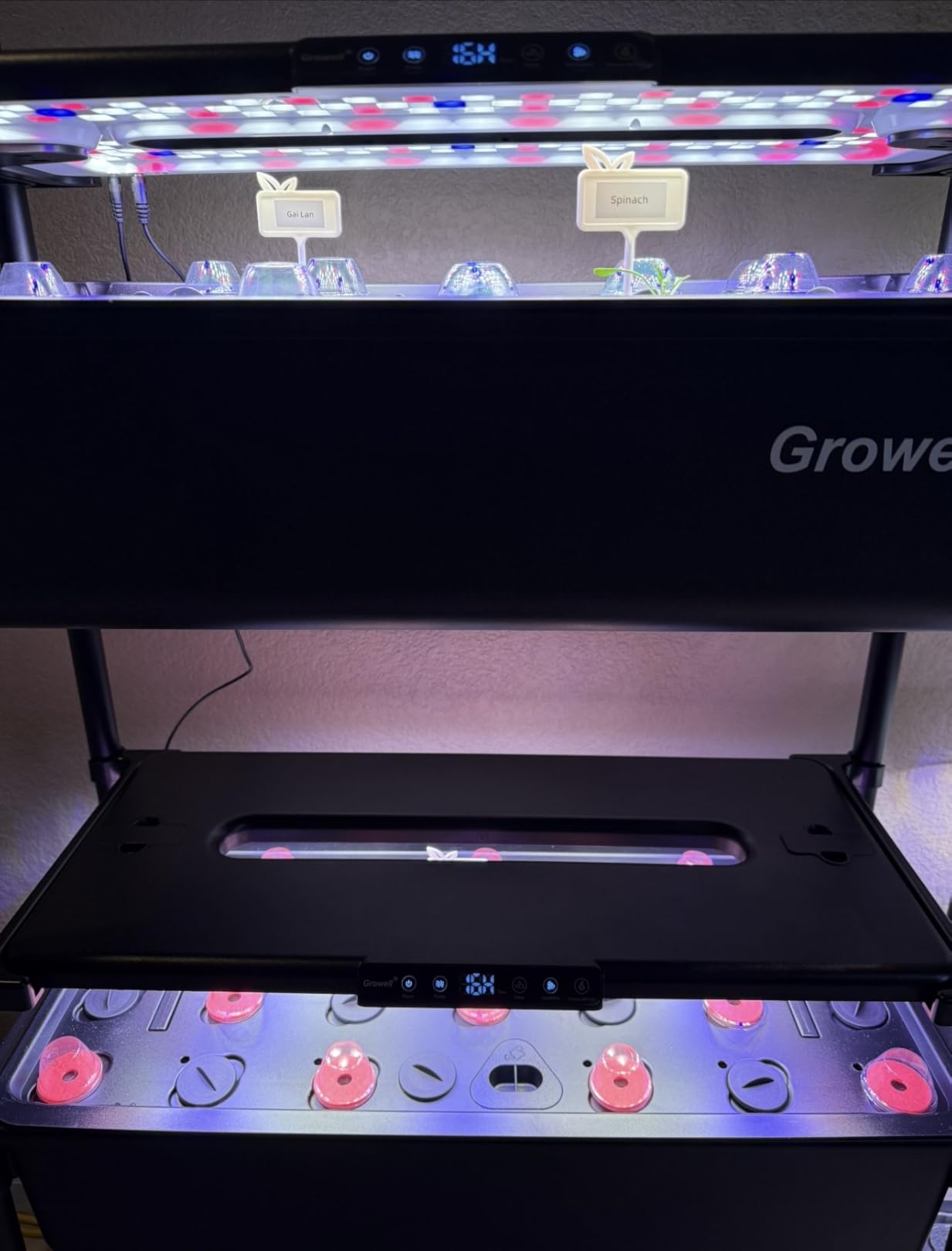Growell Large Hydroponics Growing System Kit, 90 Pods Vertical Indoor Herb Garden Kit with 2 Light Modes & Auto Circulating Water System, 40L Movable Indoor Gardening System for Herb Vegetable Fruit customer photo 2