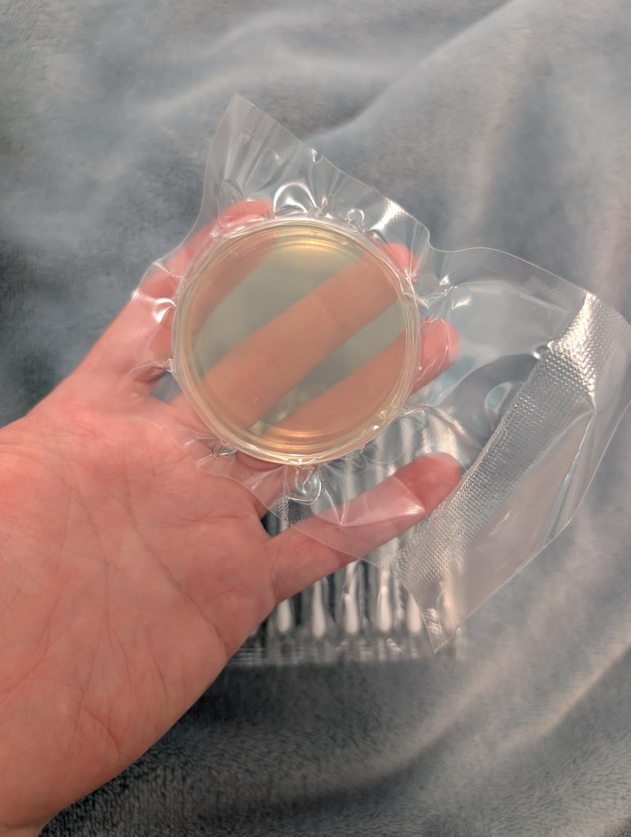 Mold Test Kit for Home - 10 Simple Detection Tests, Test HVAC System, Home Surfaces, & Indoor Air Quality Testing Kits, DIY Mold Detector at Home, Includes Detailed Mold Identification Guide, Air Tester customer photo 2