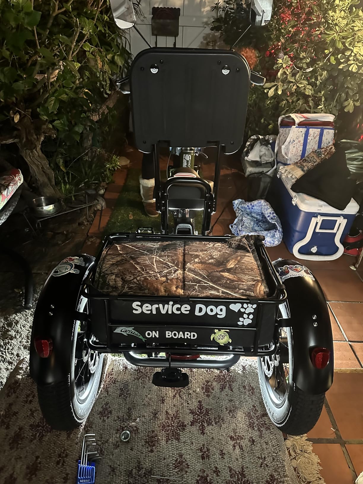 Folding Electric Tricycle for Adults 2 Seater, 22MPH 100 Miles 4