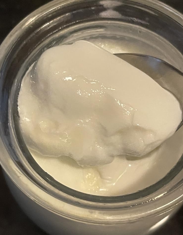 GDOR Yogurt Maker Machine with Temperature Control, 48H Timer Digital Greek Yogurt Machine with 8x6oz BPA-Free Glass Jars, Stainless Steel customer photo 1