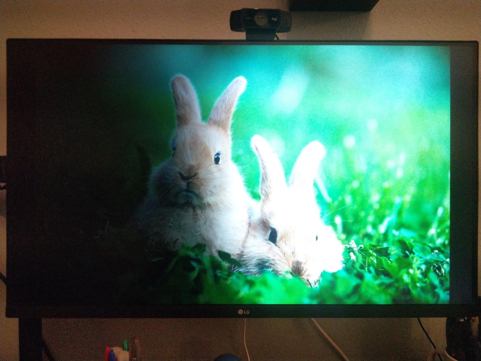LG Ultrafine 32