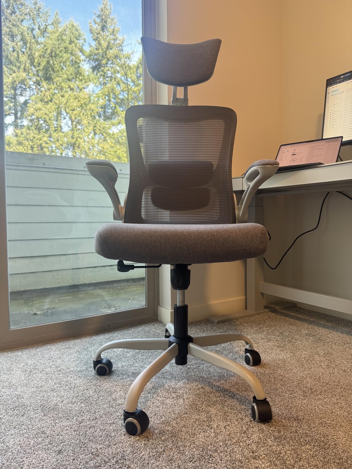 Ergonomic Office Chair, High Back Mesh Desk Chair with Adjustable Lumbar Support & Headrest, Flip-up Armrest, Computer Task Chairs for Home and Executive Office (W-White) customer photo 1