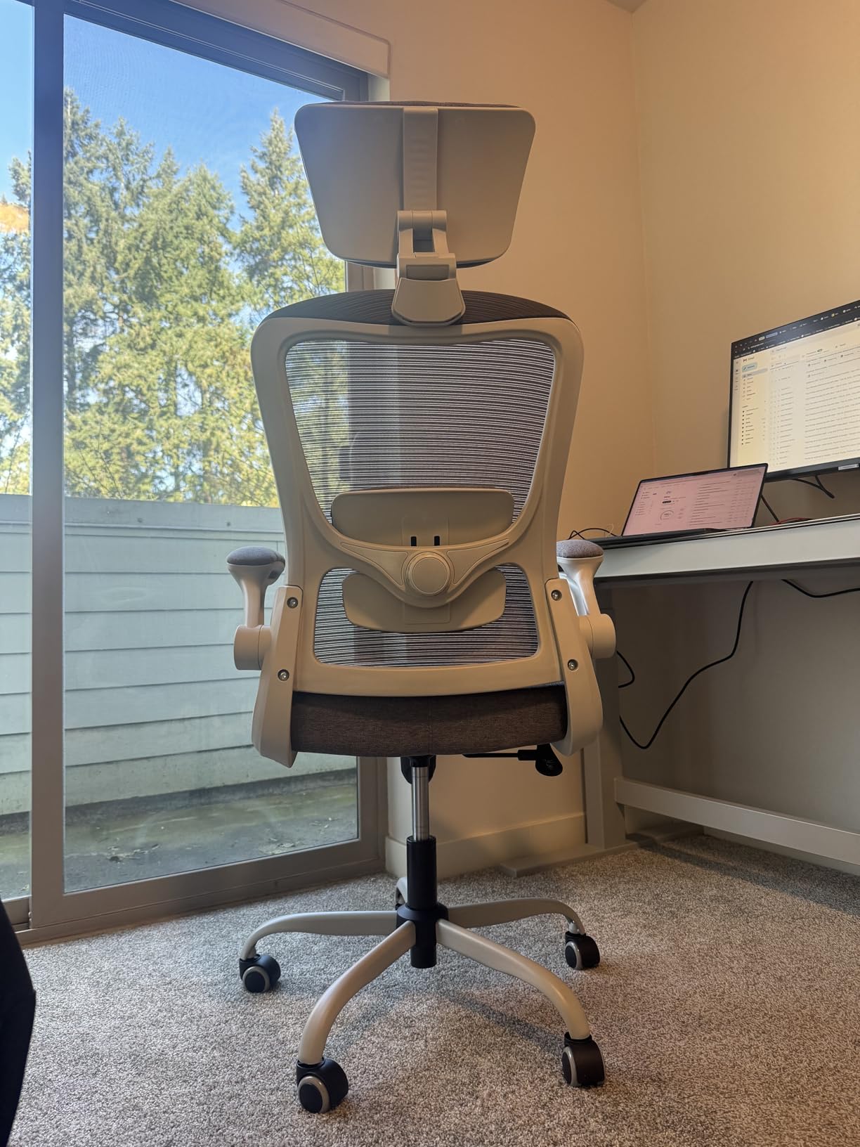 Ergonomic Office Chair, High Back Mesh Desk Chair with Adjustable Lumbar Support & Headrest, Flip-up Armrest, Computer Task Chairs for Home and Executive Office (W-White) customer photo 2