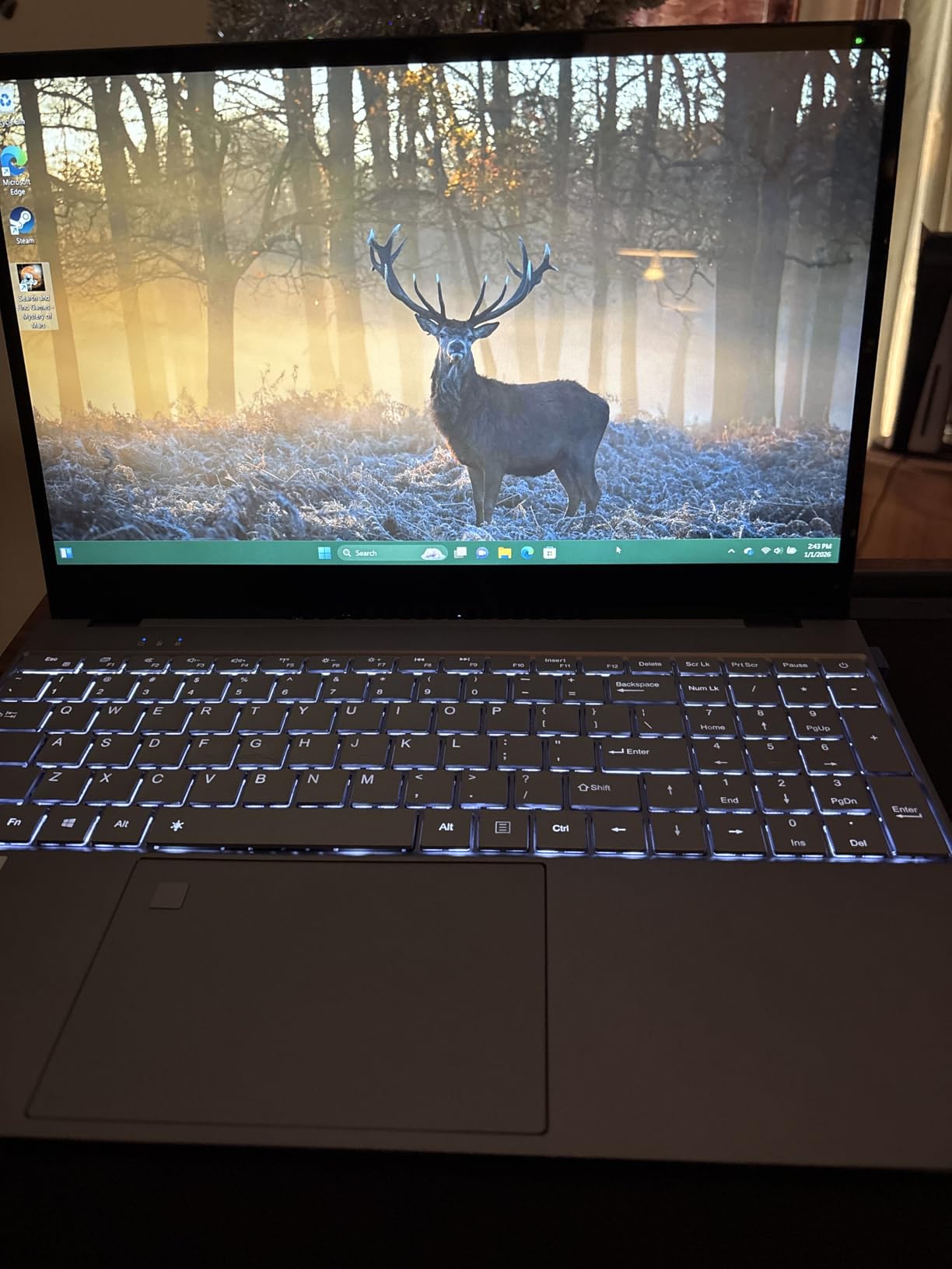 Laptop 16-inch 8GB DDR 256GB SSD portable laptop computer, expandable to 1TB, AMD A9-9400 Radeon R5 CPU up to 3.2 GHz, 9000mAh battery, Numeric Keypad, USB 3.0, dual-band WiFi, webcam, slim laptops customer photo 1