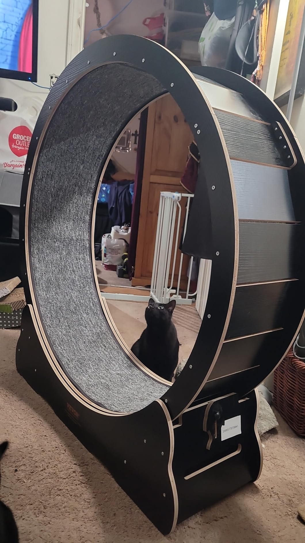 VEVOR Cat Exercise Wheel, 48 in Wooden Cat Running Wheel for Indoor Cats up to 28 lbs, Cats Treadmill with Carpeted Runway & Locking Mechanism, Quiet Kitten Sport Toys for Pets Fitness & Health, Black customer photo 1