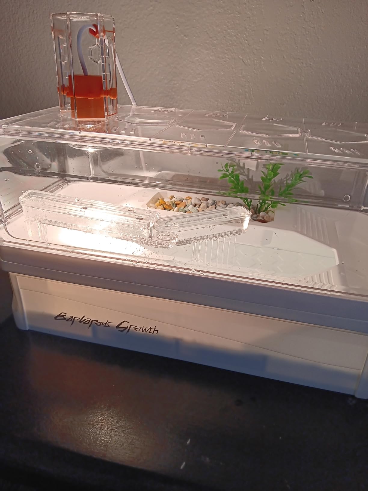 Turtle Tank Kit with Lid,Aquatic Tortoise Habitat Cage Starter Aquarium with Multi-Function Area,UV Basking Platform Light,Water Filter,Rain Shower Arm,Plant,Stone,Enclosure Red Eared Slider customer photo 1