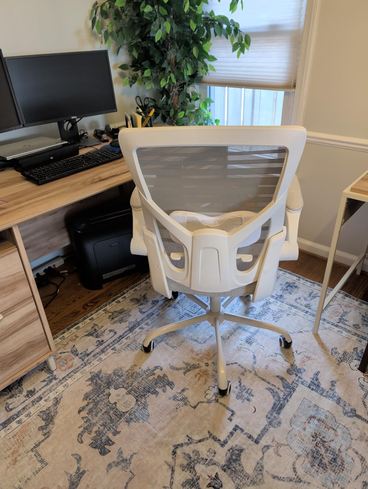 Office Chair for Long Hours & Back Pain Relief - 4