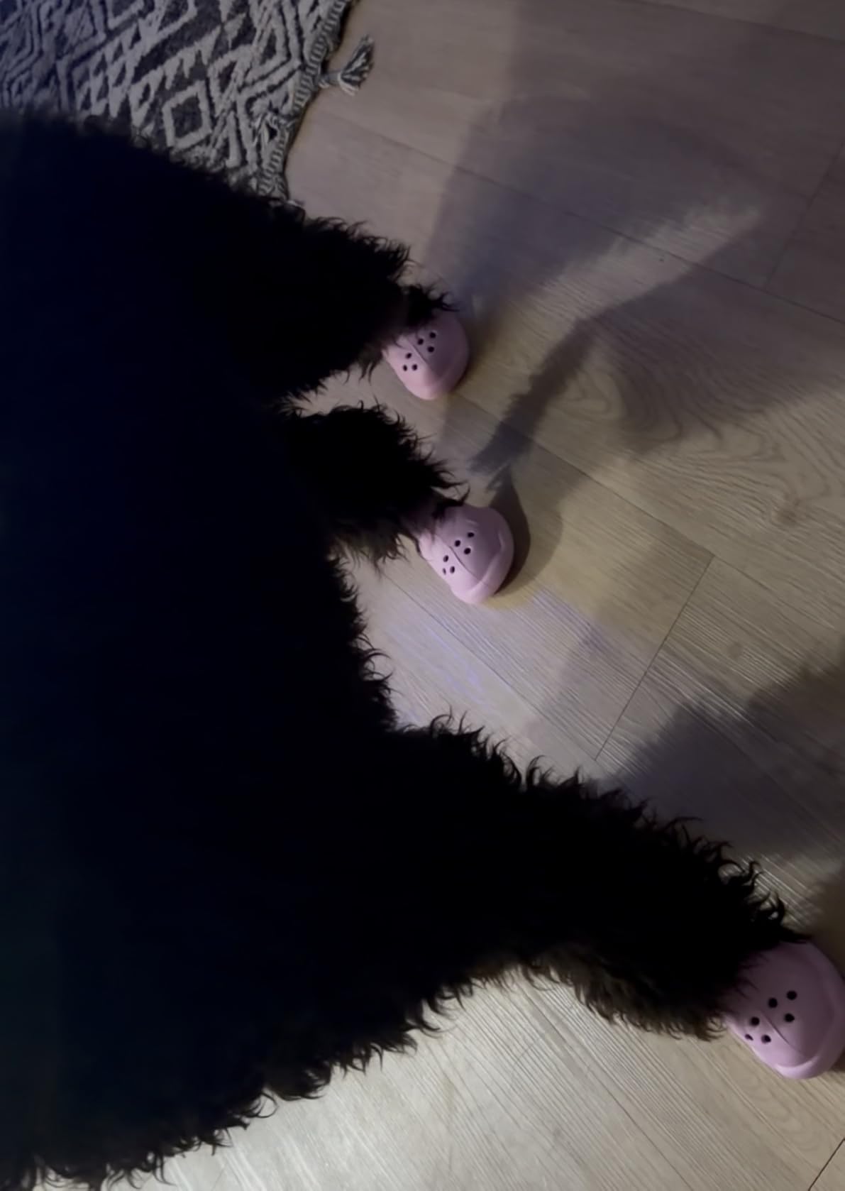 Dog Shoes for Hot Pavement and Snow - Waterproof, Non-Slip, Breathable Booties with Adjustable Straps for Small, Medium and Large Dogs (Yellow, XL) customer photo 2