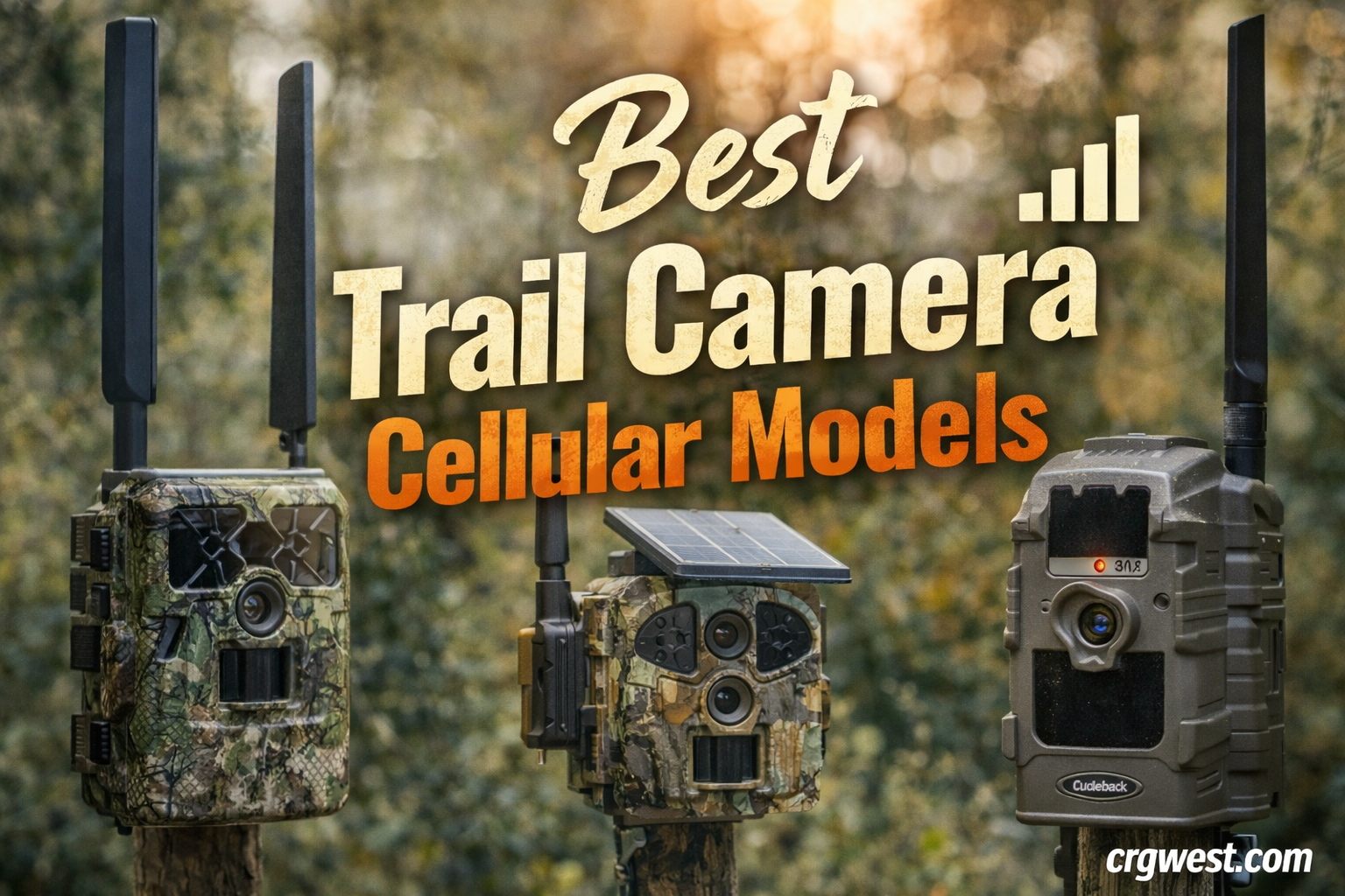 Best Trail Camera Cellular Models