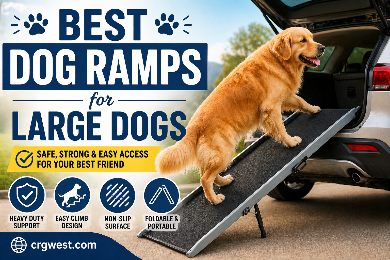 Best dog ramps for large dogs