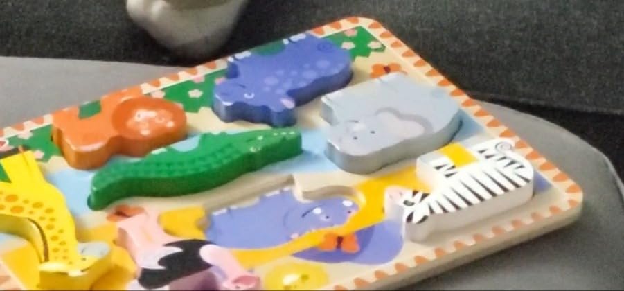 Melissa & Doug Safari Wooden Chunky Puzzle (8 pcs), Educational Screen Free Activity for Toddler, Preschoolers and Kids Ages 2+ - FSC Certified customer photo 1