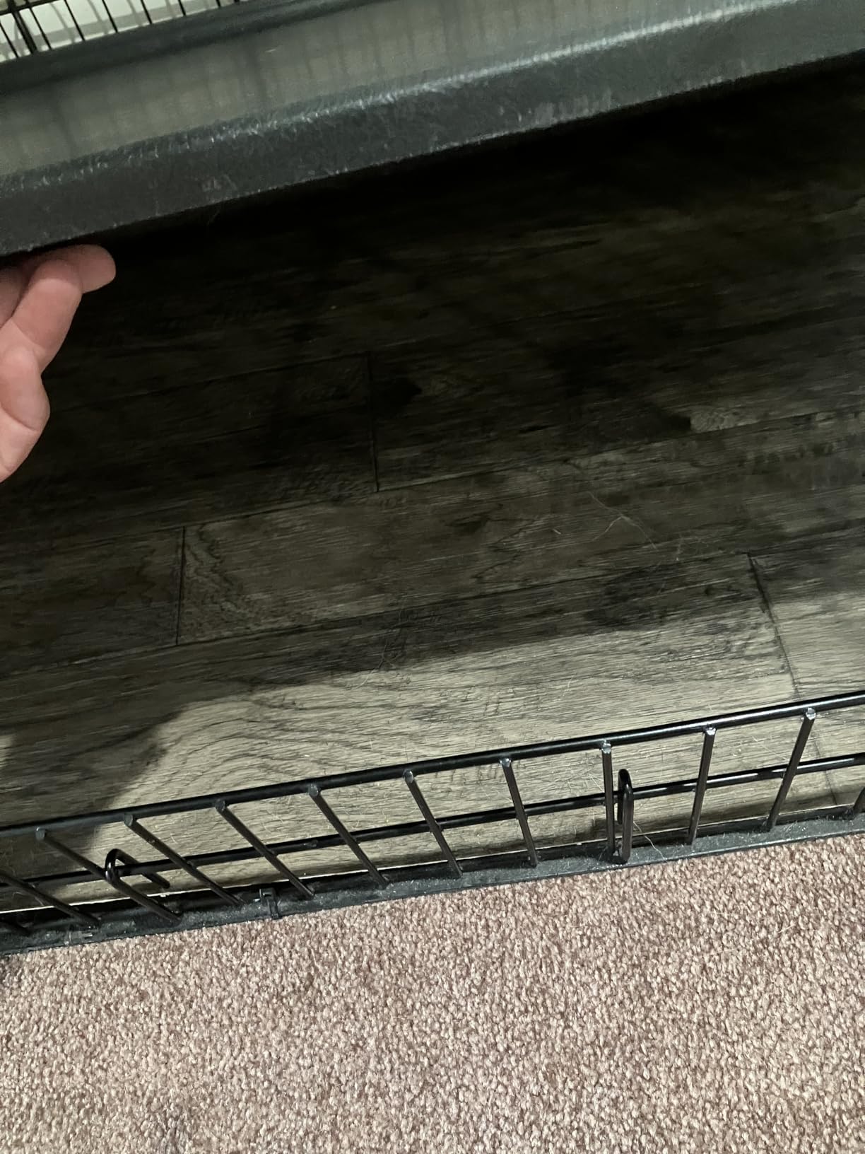 MidWest Homes for Pets 48-Inch iCrate for Extra-Large Breeds, 90-110 lbs, Single Door Folding Dog Crate with Divider Panel, Leak-Proof Tray & Secure Latches customer photo 1