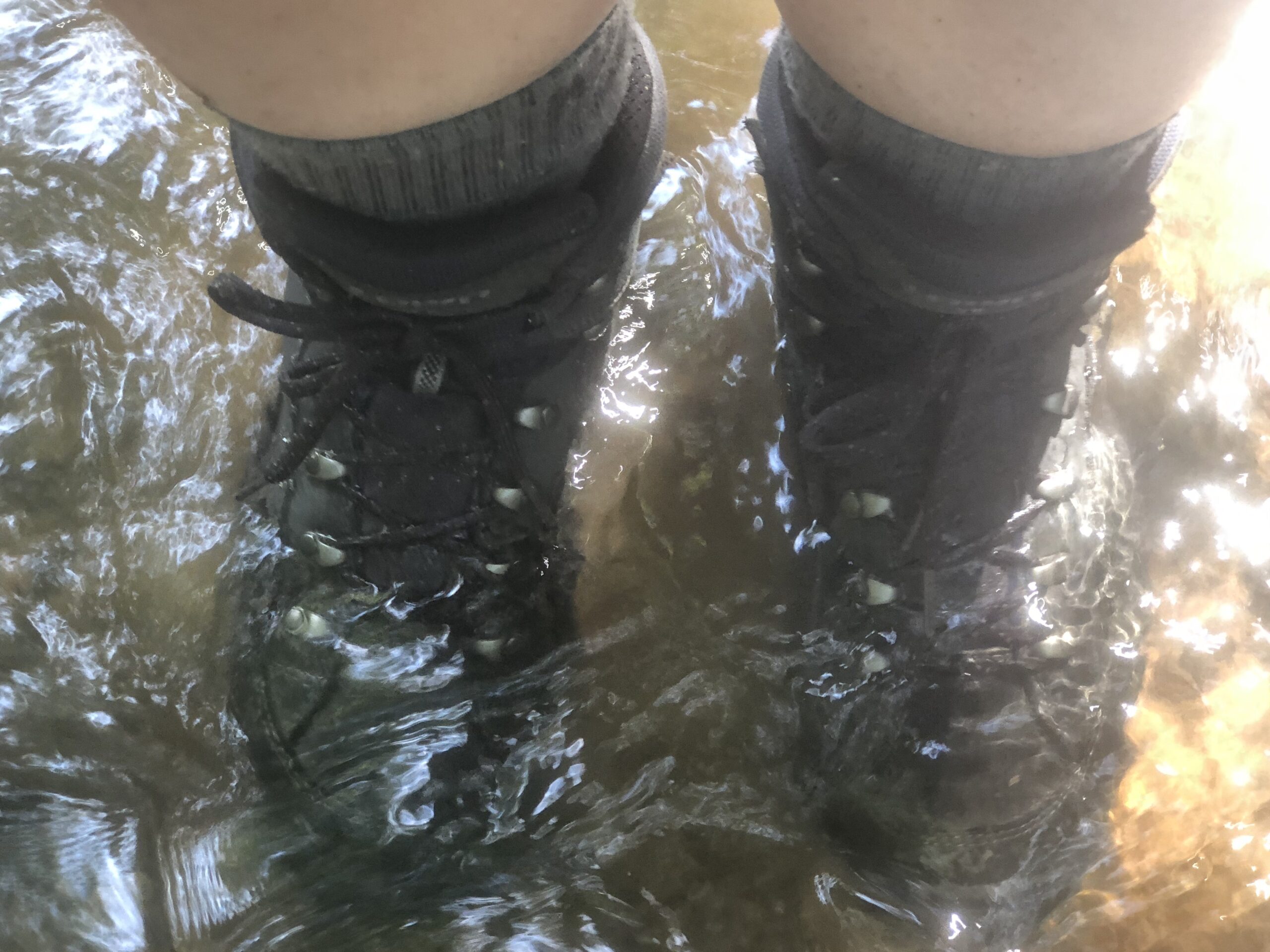 Lowa Women's Renegade GTX Mid Hiking Boot customer photo 1