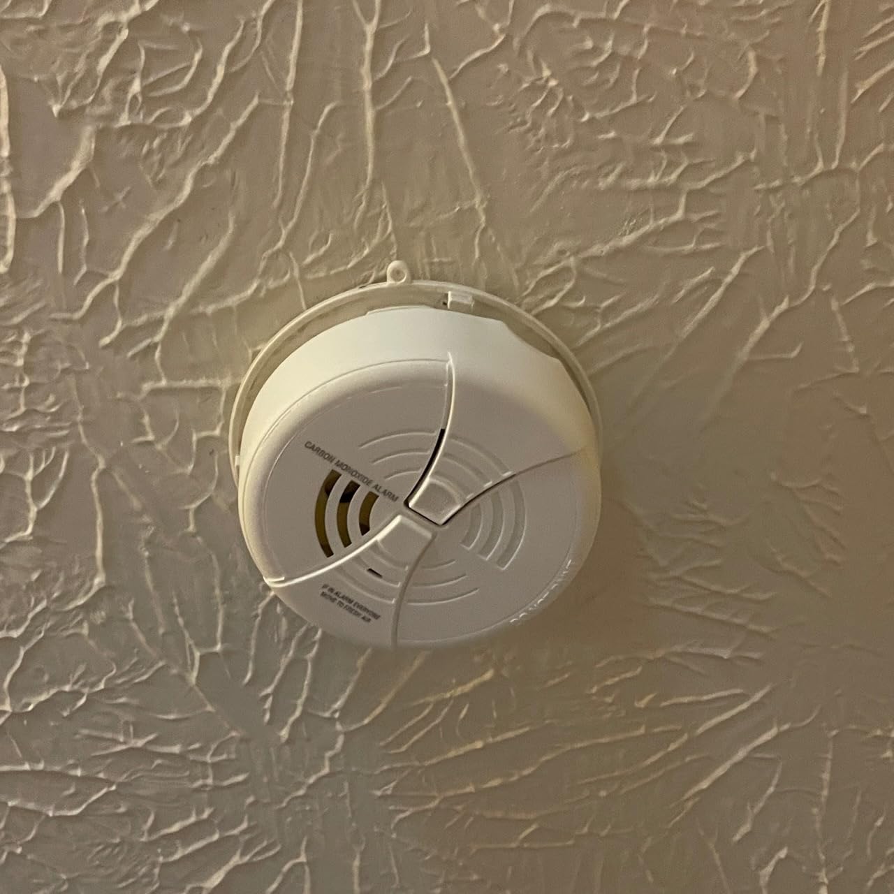 FIRST ALERT Carbon Monoxide Alarm | BRK CO250 Battery Operated Carbon Monoxide Detector With 9-Volt Battery & Two Silence Features customer photo 2