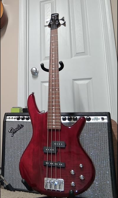 Ibanez GSR200SMNGT GIO 4-String Electric Bass Guitar with Spalted Maple Top in Natural Grey Burst customer photo 1