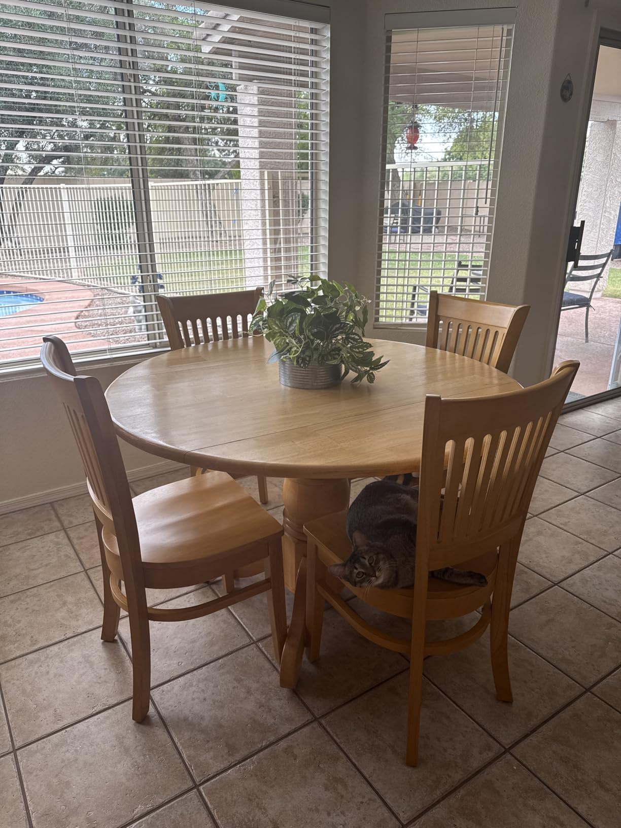 East West Furniture Vancouver Kitchen Dining Chairs - Slat Back Wooden Seat Chairs, Set of 2, Oak customer photo 2