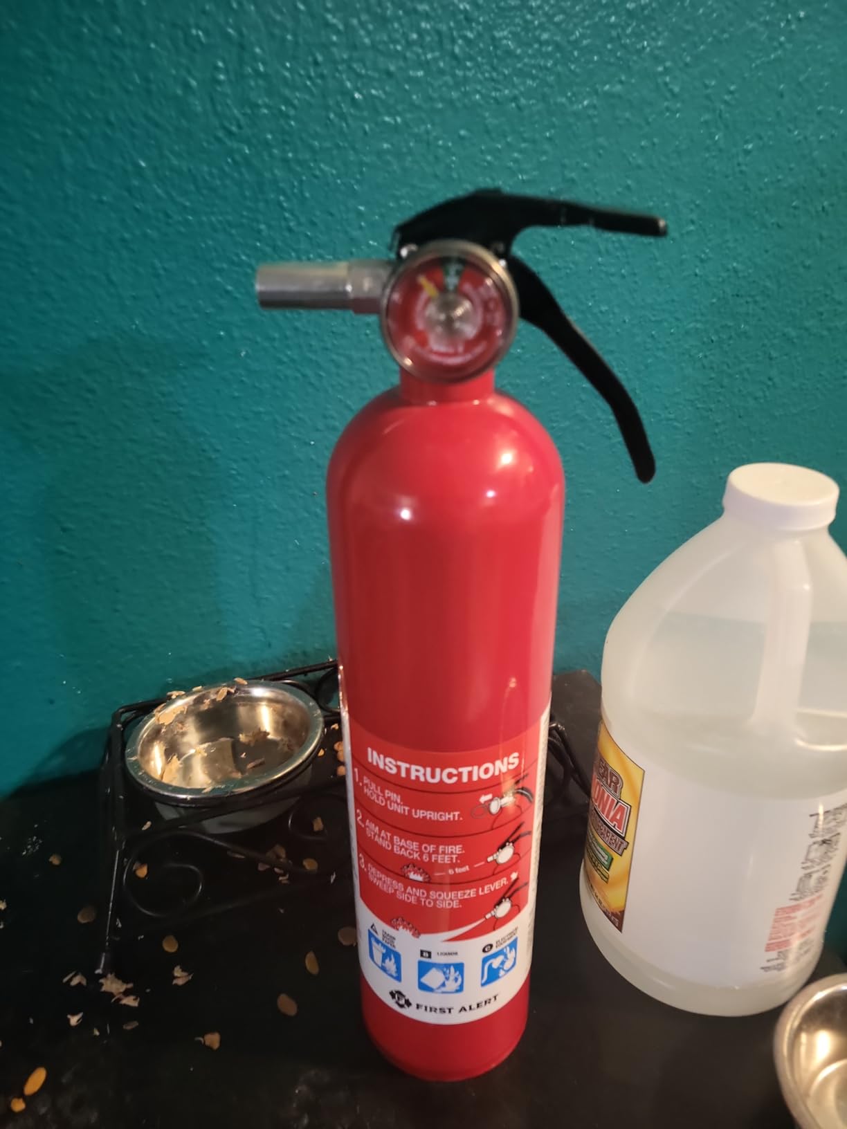 First Alert Fire Extinguisher for Home, Standard Rechargeable Compliance Unit, UL RATED 1-A:10-B:C, HOME1, Red, 1-Pack customer photo 2