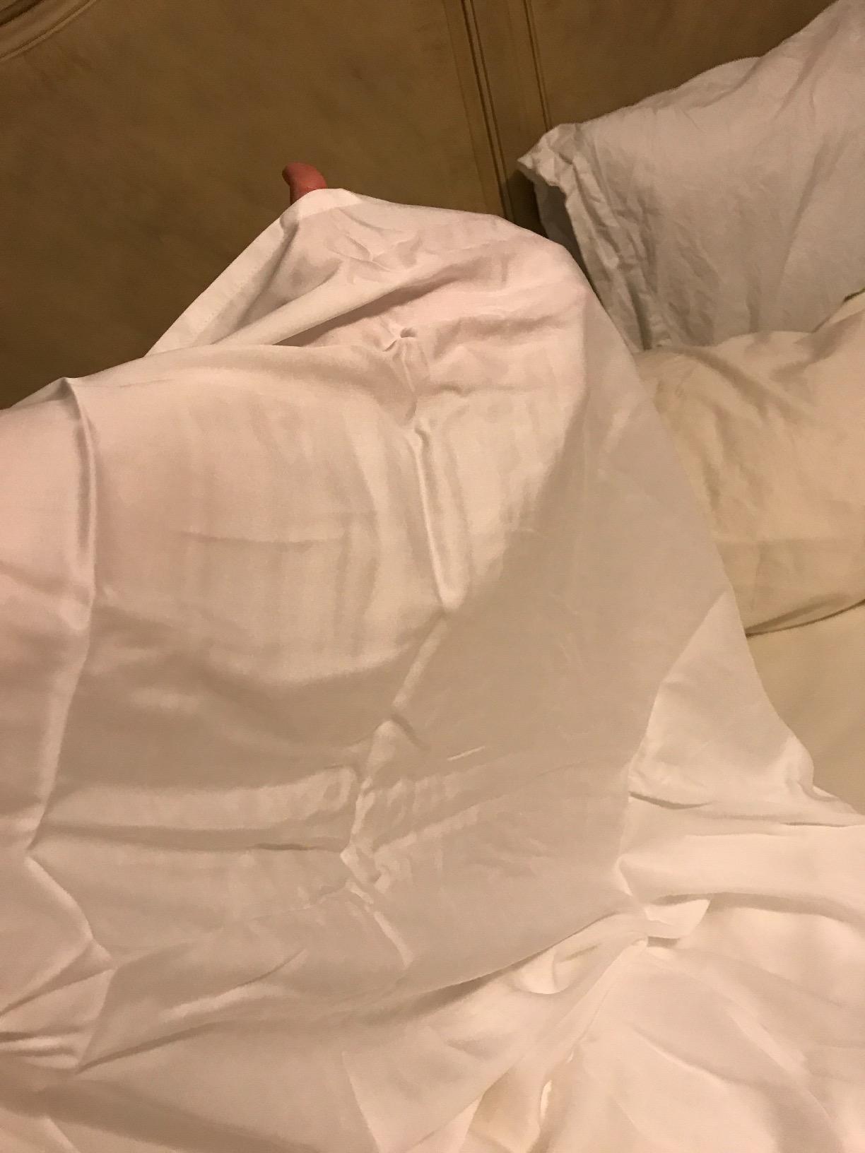 Hotel Sheets Direct 4 Piece Bed Sheet Set King Size, 100% Viscose Derived from Bamboo Sheets Set with 2 Pillowcases, Cooling & Breathable Luxury Bedding, Moisture-Wicking & Silky Soft Texture, White customer photo 1