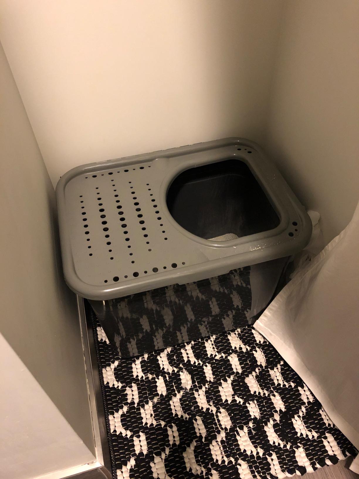 Arm & Hammer Premium Top Entry Litter Box with Filter to Clean Paws and Microban, Made in USA customer photo 1