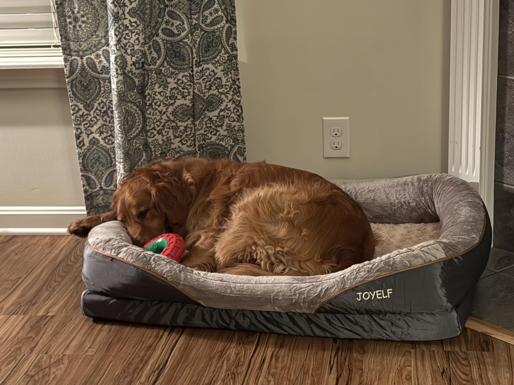 JOYELF Large Memory Foam Dog Bed, Orthopedic Dog Bed & Sofa with Removable Washable Cover and Squeaker Toy as Gift customer photo 2
