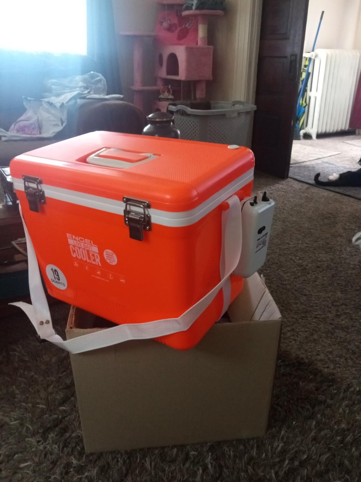 Engel Live Bait Cooler Box with 2nd Gen 2-Speed Aerator Pump - Portable Fishing Station & Minnow Bucket customer photo 2