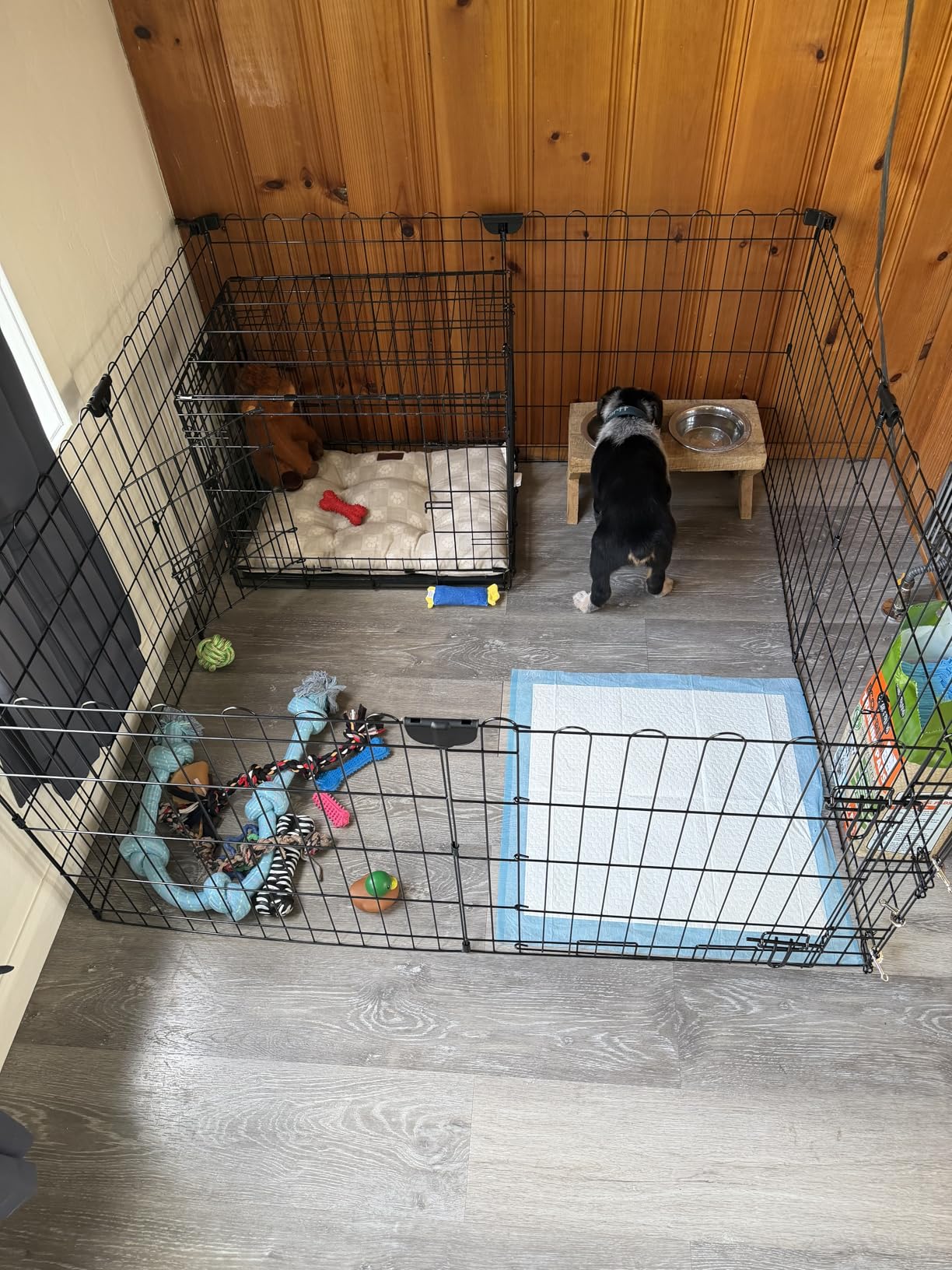 Amazon Basics Portable Foldable Octagonal Metal Exercise Dog Playpen, Indoor/Outdoor Pet Fence with Single Door, 8 Panels, Small, 30 Inches, Black customer photo 2