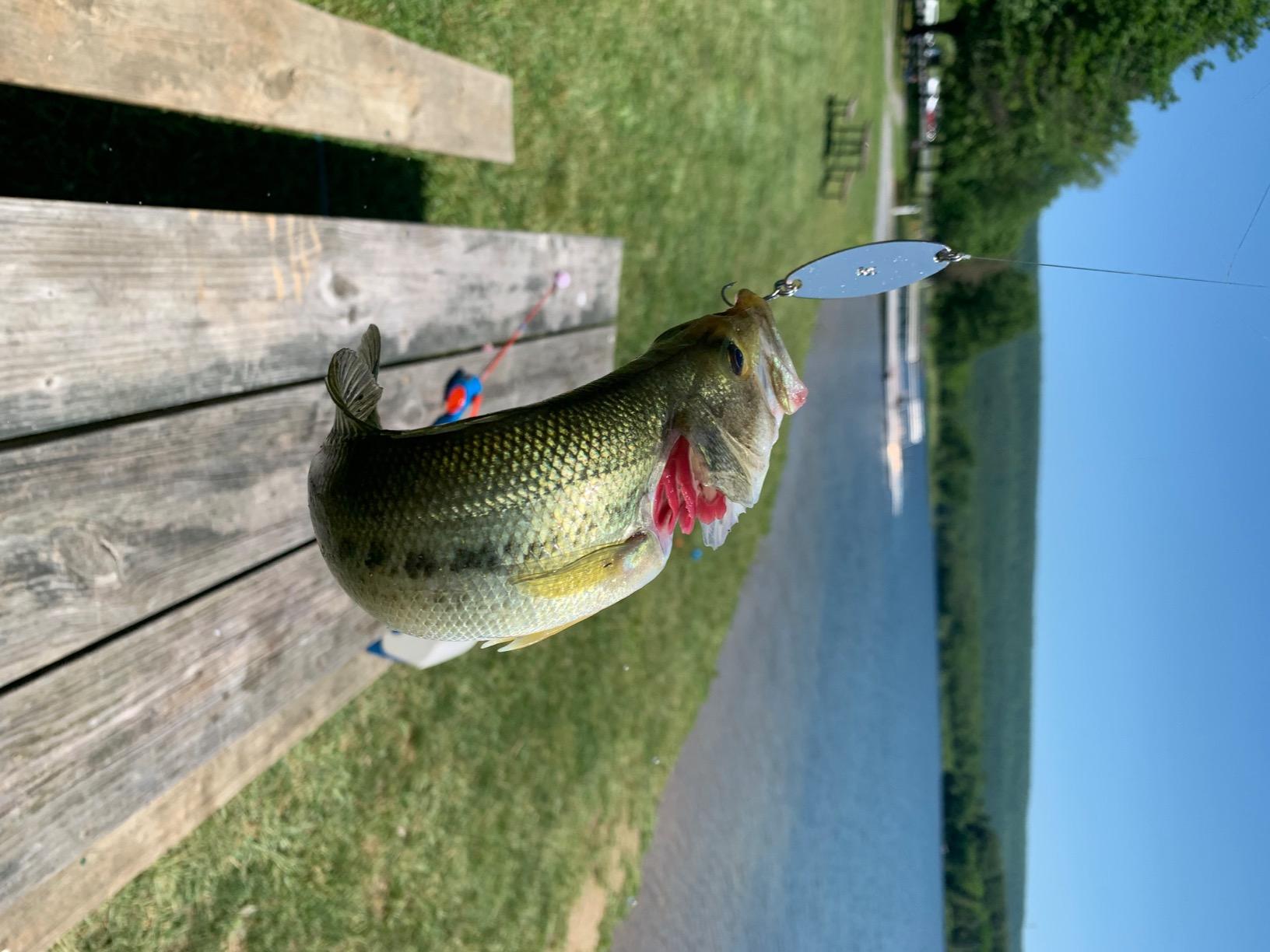 Shakespeare Alpha Medium 6' Low Profile Fishing Rod and Bait Cast Reel Combo (2 Piece) customer photo 1