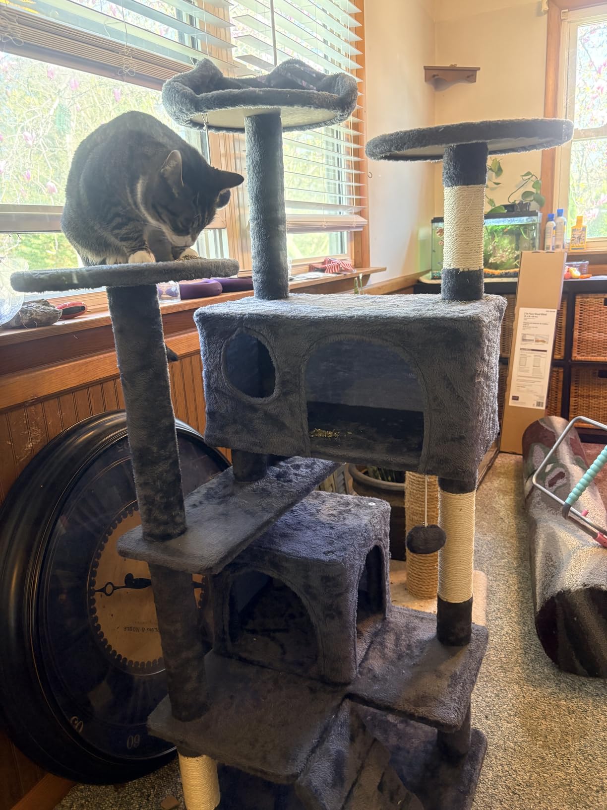 Yaheetech 54in Cat Tree Multi-Level Cat Tower with Spacious Kitten-ear Perch, 2 Cozy Caves, Scratching Posts, Climbing Ladder customer photo 1