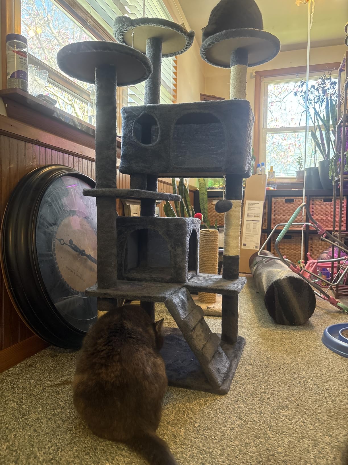 Yaheetech 54in Cat Tree Multi-Level Cat Tower with Spacious Kitten-ear Perch, 2 Cozy Caves, Scratching Posts, Climbing Ladder customer photo 2