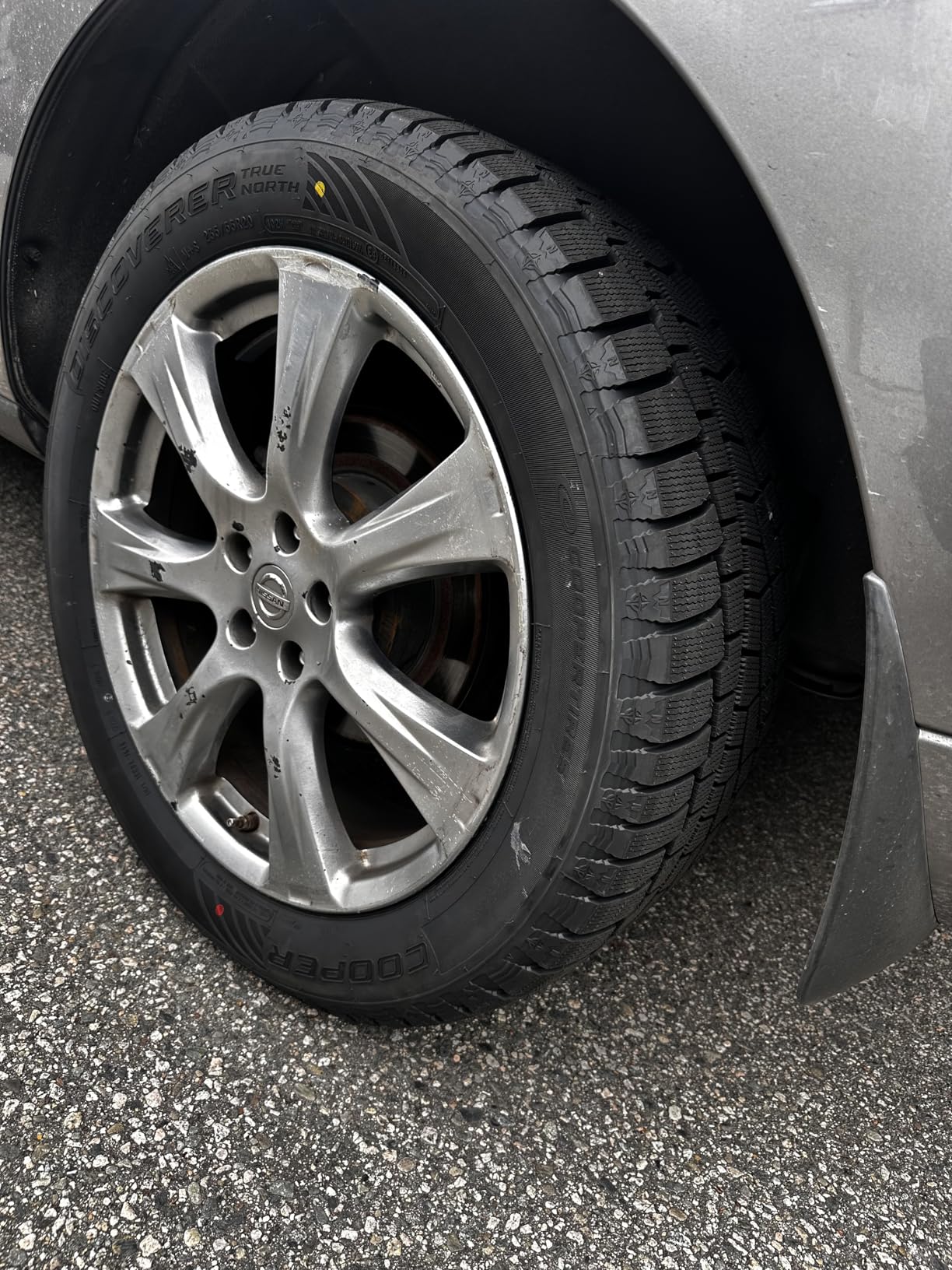 Cooper Discoverer True North Winter 205/55R16 91H Tire customer photo 2