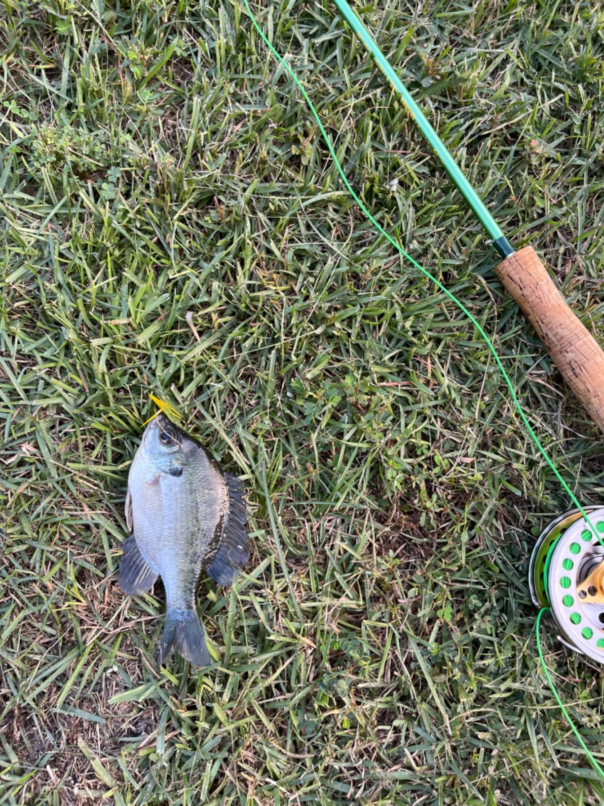 Sougayilang Fly Fishing Rod Reel Combos with Lightweight Portable Fly Rod and CNC-machined Aluminum Alloy Fly Reel,Fly Fishing Complete Starter Package customer photo 2