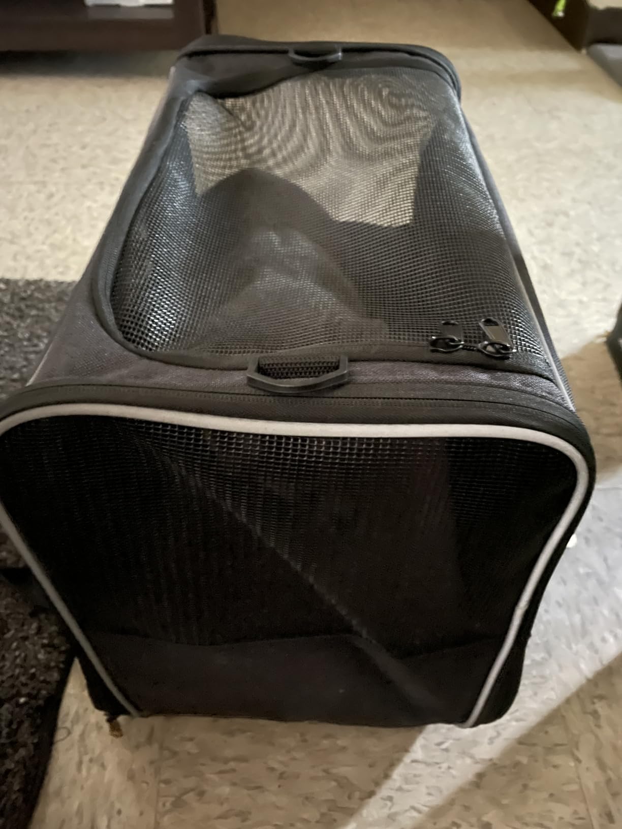 Morpilot Cat Carrier - Cat Carrier Soft for Medium or Large Cats up to 20lbs, with Dual-Sided Cushion, Secure Buckle and Foldable Bowl, Dog Carriers for Small Dogs - Pet Carrier (Dark Gray) customer photo 2