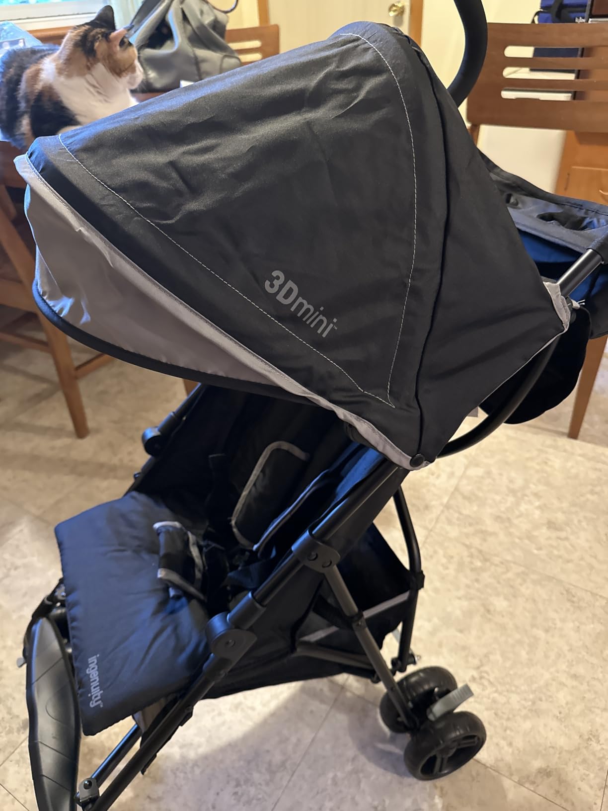Ingenuity 3D Mini Convenience Stroller customer photo 2