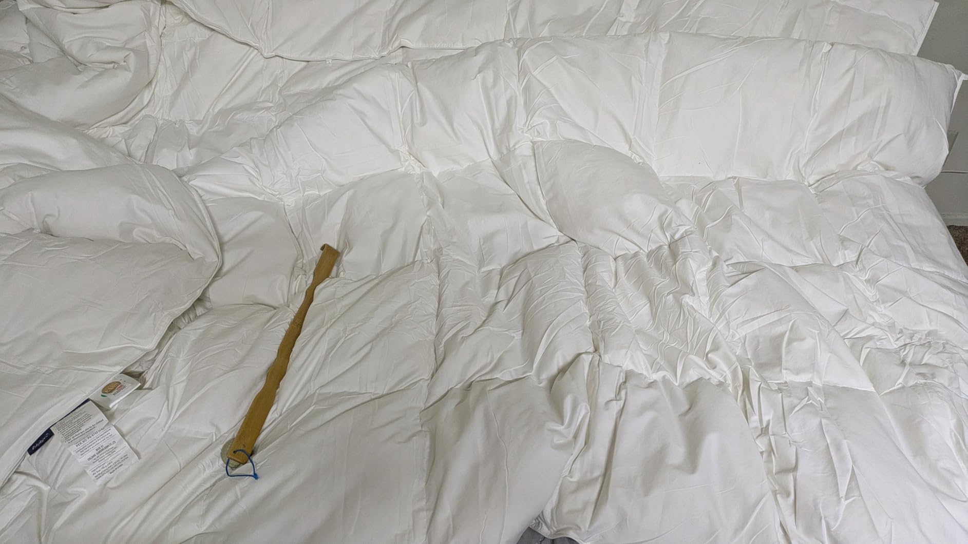 Globon Queen Goose Down Comforter,800 Fill Power All Seasons Luxury Duvet Insert,420 Thread Count Soft Noiseless Shell, Medium Weight with 8 Corner Tabs, White customer photo 1