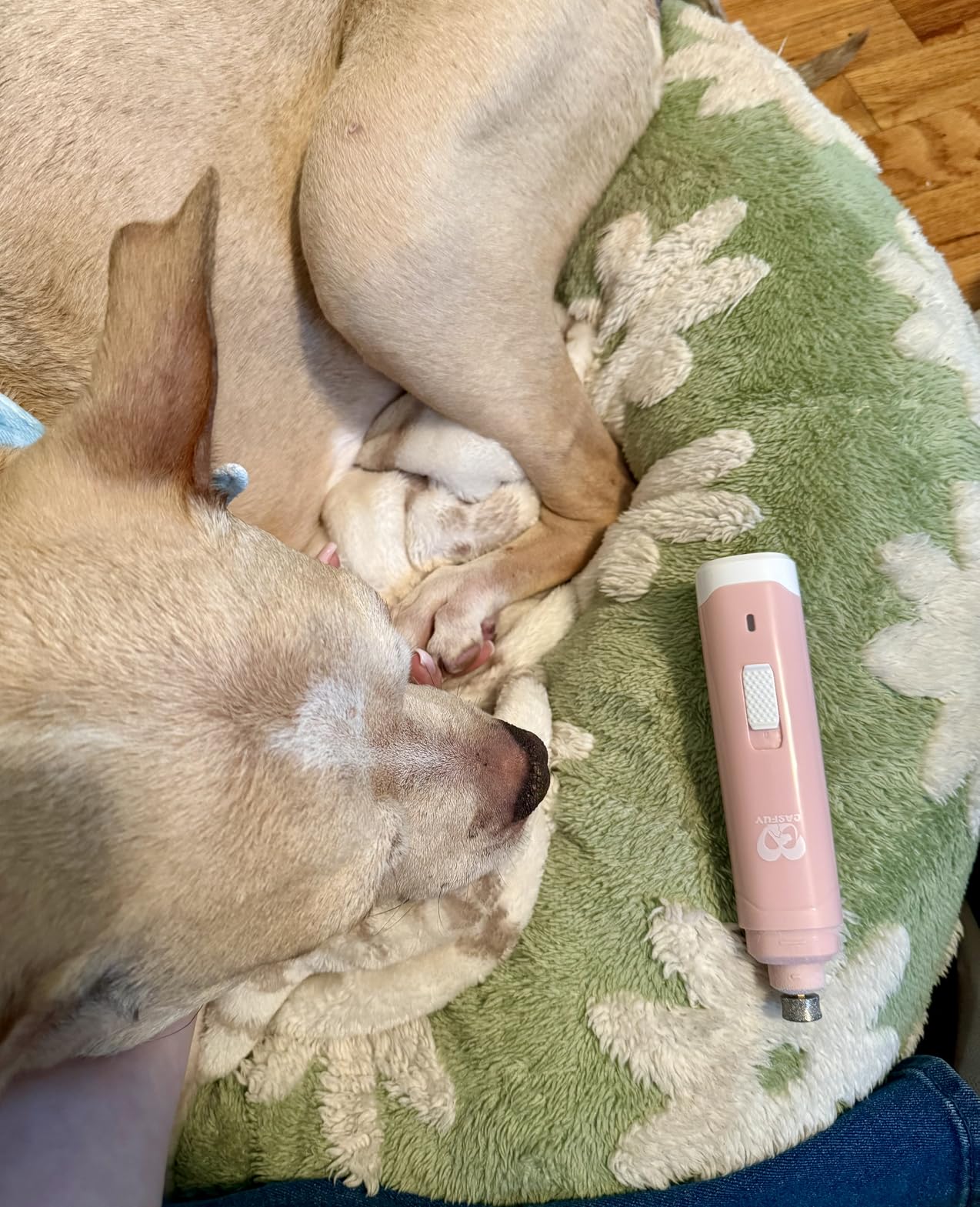 Casfuy Dog Nail Grinder Upgraded - Professional 2-Speed Whisper-Quiet Electric Pet Nail Trimmer Painless Paws Grooming & Smoothing for Small Medium Large Dogs & Cats (Dark Blue) customer photo 2