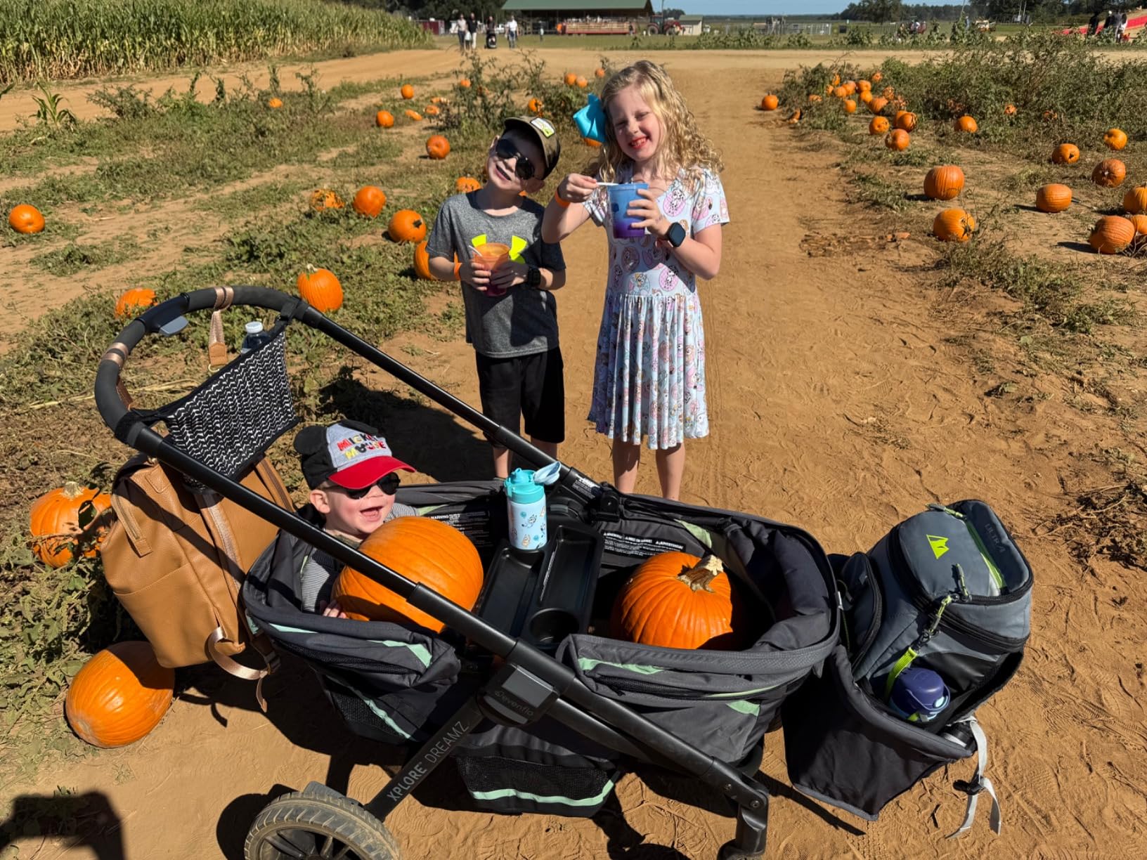 Evenflo Pivot Xplore All-Terrain Stroller Wagon (Wayfarer Black) customer photo 1