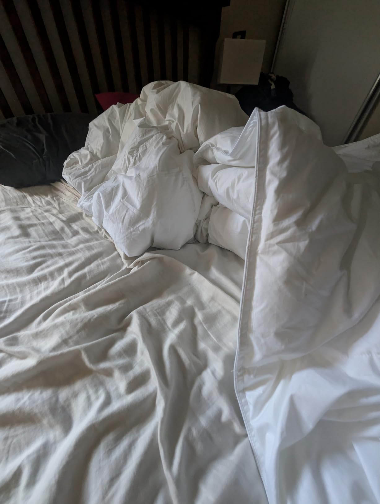 Serta Goose Feather Down Fiber Cotton Comforter King Size - 100% Cotton Duvet Insert - Hotel Luxury Hypoallergenic Bedding Comforter Light Warmth 106 x 90 Inch White customer photo 1