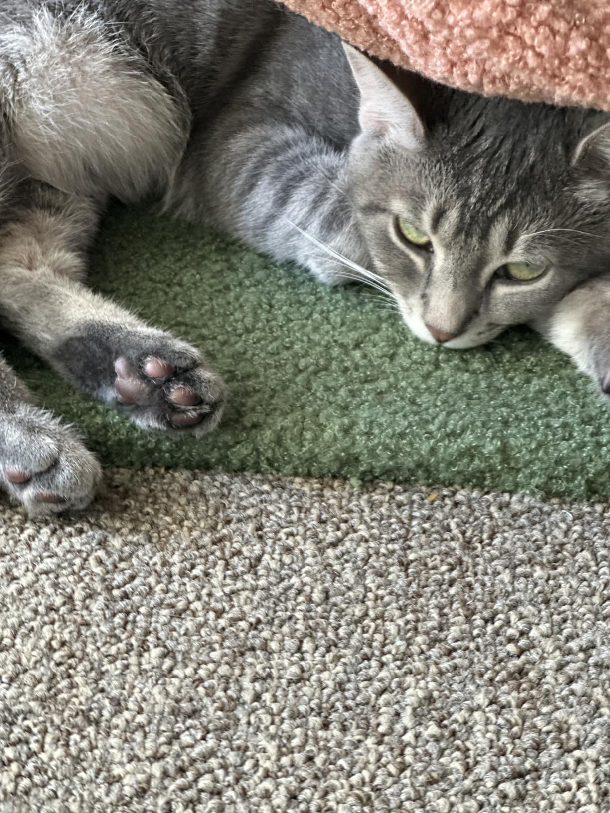 YUNIQUE Cat Tree with Cat Condo and Big Hammock, Grey customer photo 1
