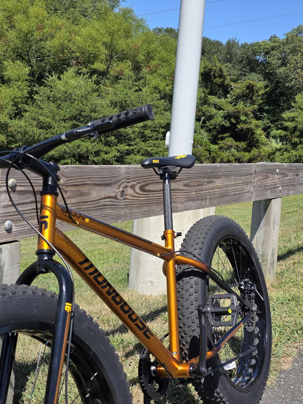 Argus Trail or ST Fat Tire Mountain Bike, 20, 24 or 26 Inch Bike for Kids and Adults, 7 or 16 Speed, Aluminum Frame, Knobby Mountain Fat Tires, Disc Brakes customer photo 1