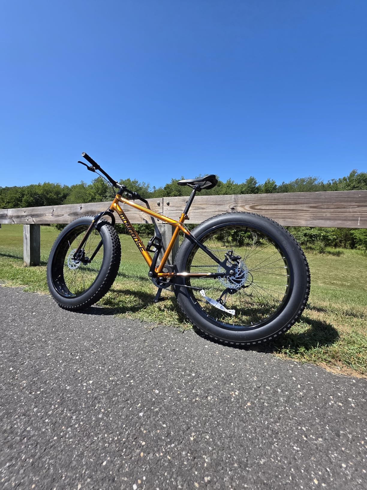 Argus Trail or ST Fat Tire Mountain Bike, 20, 24 or 26 Inch Bike for Kids and Adults, 7 or 16 Speed, Aluminum Frame, Knobby Mountain Fat Tires, Disc Brakes customer photo 2