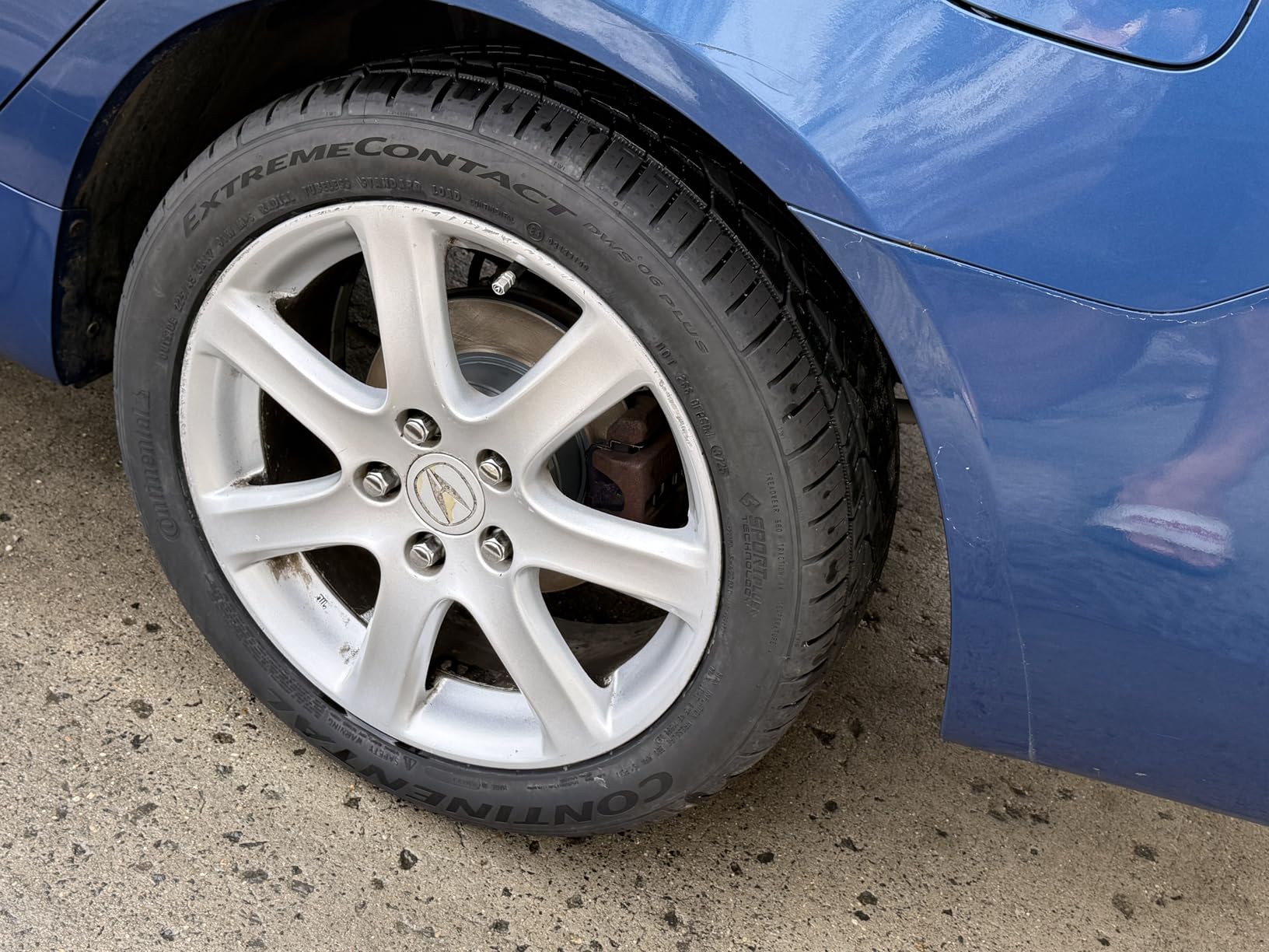 Continental ExtremeContact DWS06 PLUS UHP All Season 225/45ZR17 91W Passenger Tire customer photo 2