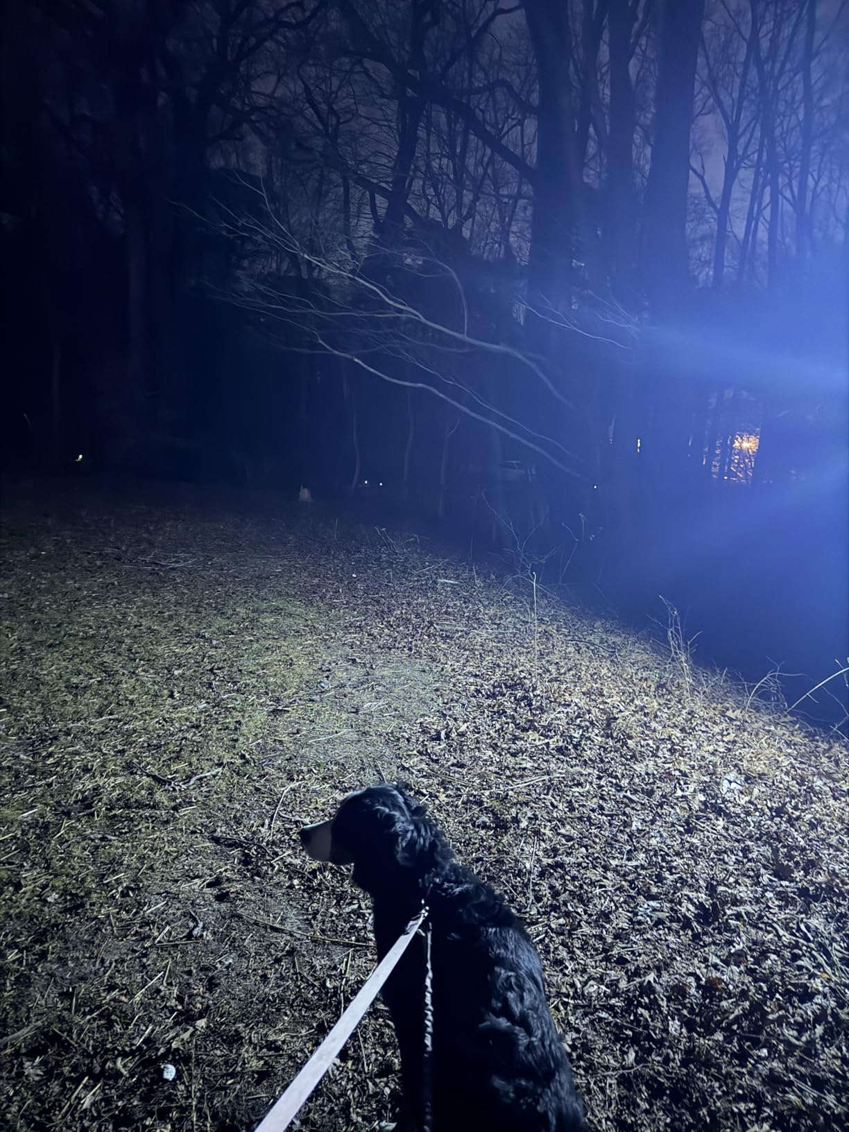 Tuffenough Solar Outdoor Lights 2500LM 210 LED Security Lights with Remote Control,3 Heads Motion Sensor Lights, IP65 Waterproof,270 Degree Wide Angle Flood Wall Lights with 3 Modes(2 Packs) customer photo 2