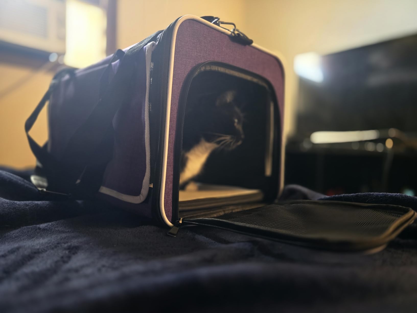 GAPZER Pet Carrier for Large Cats, Soft-Sided Cat Carrier for Medium Big Cats and Puppy up to 20lbs, Washable Dog Carrier Privacy Protection for Home Outdoor Travel customer photo 1