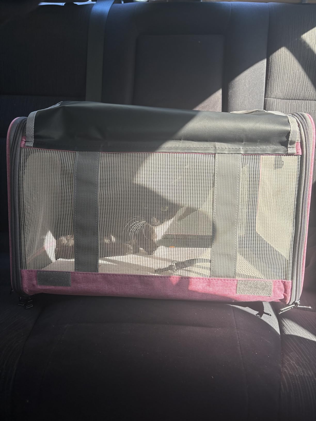 GAPZER Pet Carrier for Large Cats, Soft-Sided Cat Carrier for Medium Big Cats and Puppy up to 20lbs, Washable Dog Carrier Privacy Protection for Home Outdoor Travel customer photo 2