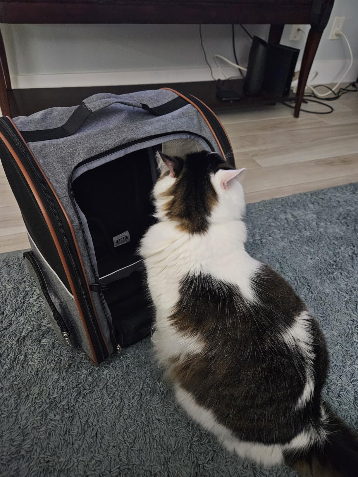 Cat Carrier Backpack, Expandable Pet Carrier with Sun Shade & Full Front Opening, Breathable Mesh Backpack for Small Dogs & Medium Cats Up to 18 Lbs, Foldable for Hiking, Camping (Grey) customer photo 2