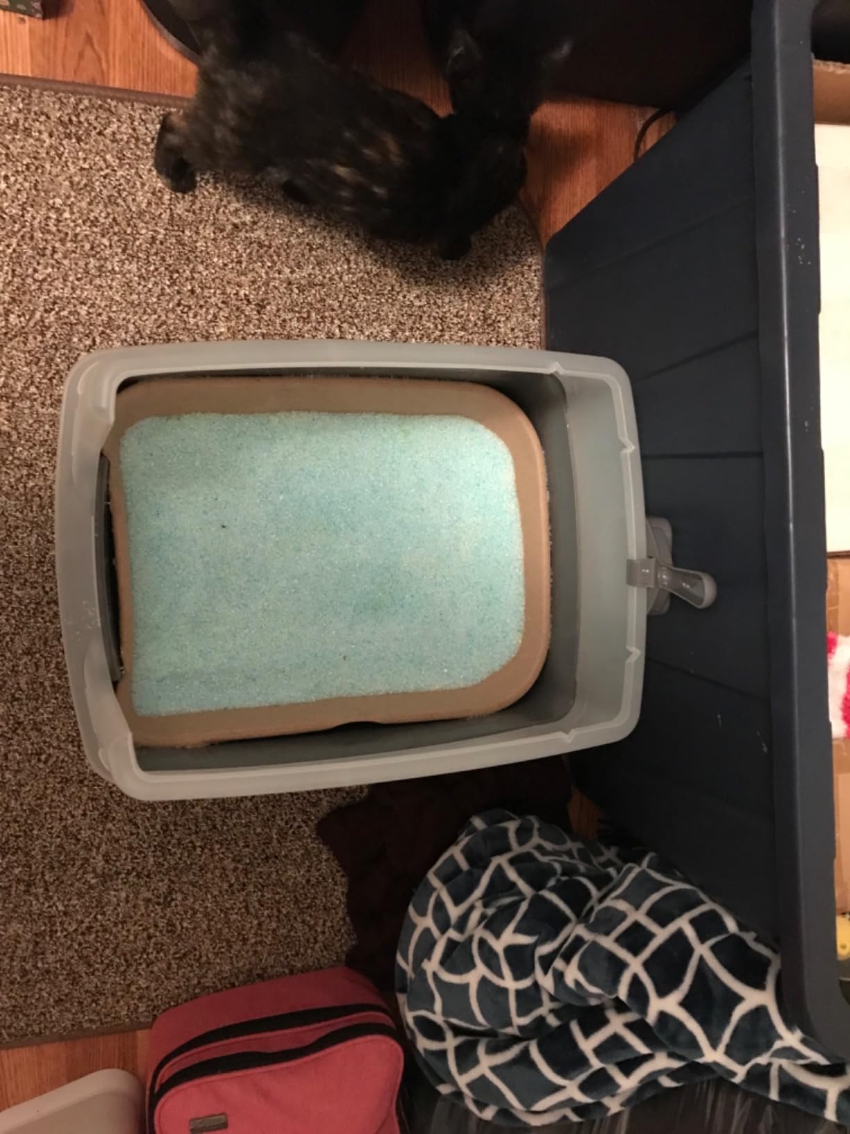 Kitty Sift Disposable Cat Litter Box Large, 6 Count, Durable Portable for Travel and Home, Eco-Friendly Disposable Litter Box Controls Odor customer photo 2
