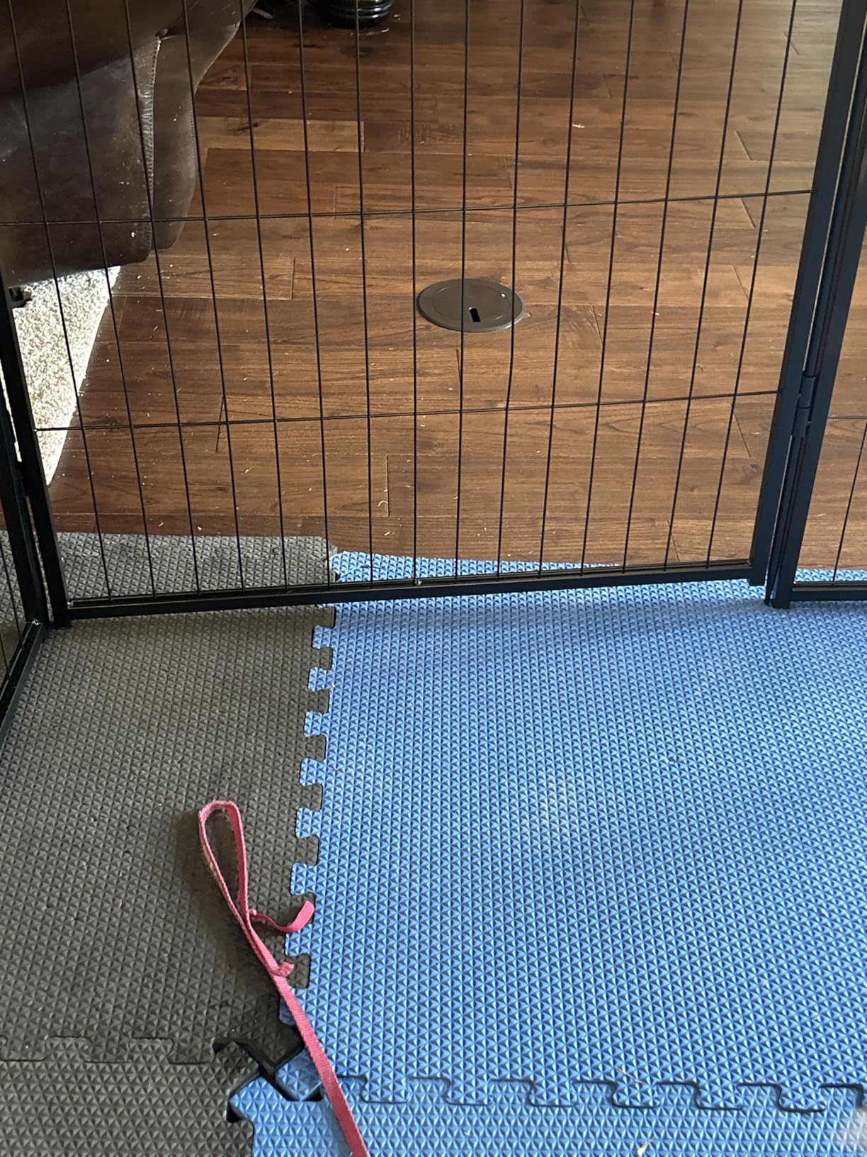 FXW Rollick Unleashed Dog Playpen for Indoor, Yard, RV Camping, 40 inch 8 Panels for Medium and Large Dogs, Black│Patented customer photo 1