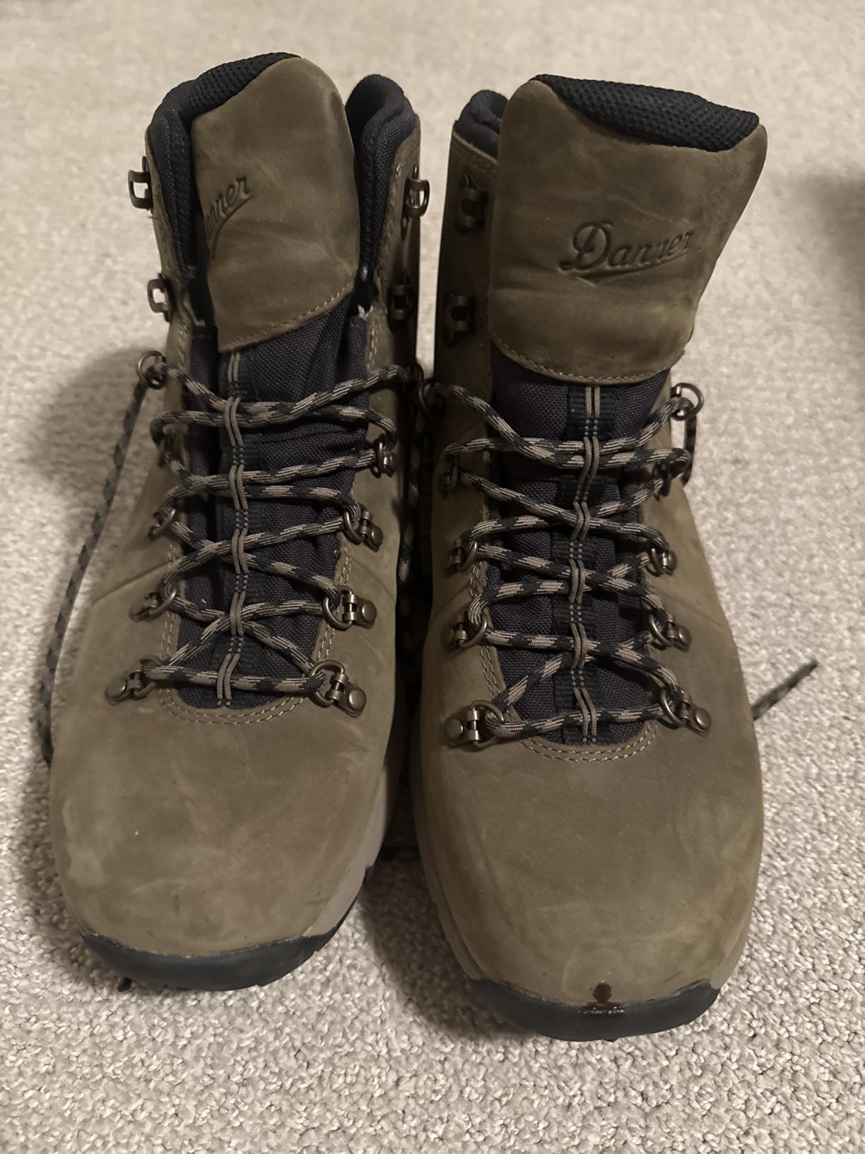 Danner Mountain 600 Leaf GTX Men's Hiking Boots - Waterproof Quick-Dry Gore-Tex Membrane & Slip-Resistant Work Boots for Men customer photo 1