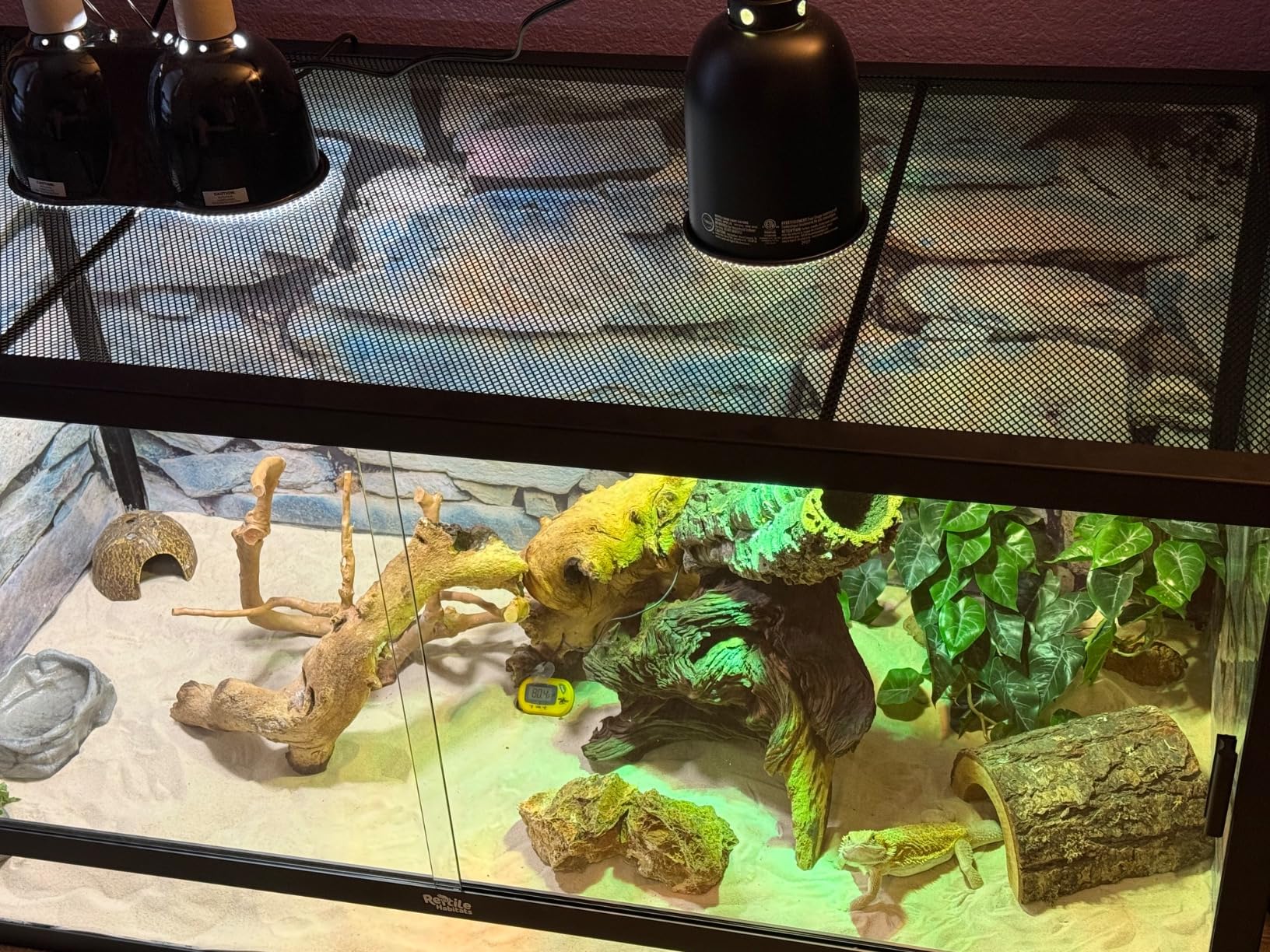 Reptile Habitats 4x2x2 (120 Gallon) Reptile Enclosure V3 PVC Panels, Glass Doors, Lightweight, Easy to Assemble, Heavy Duty Screen, Aluminum Frame customer photo 2