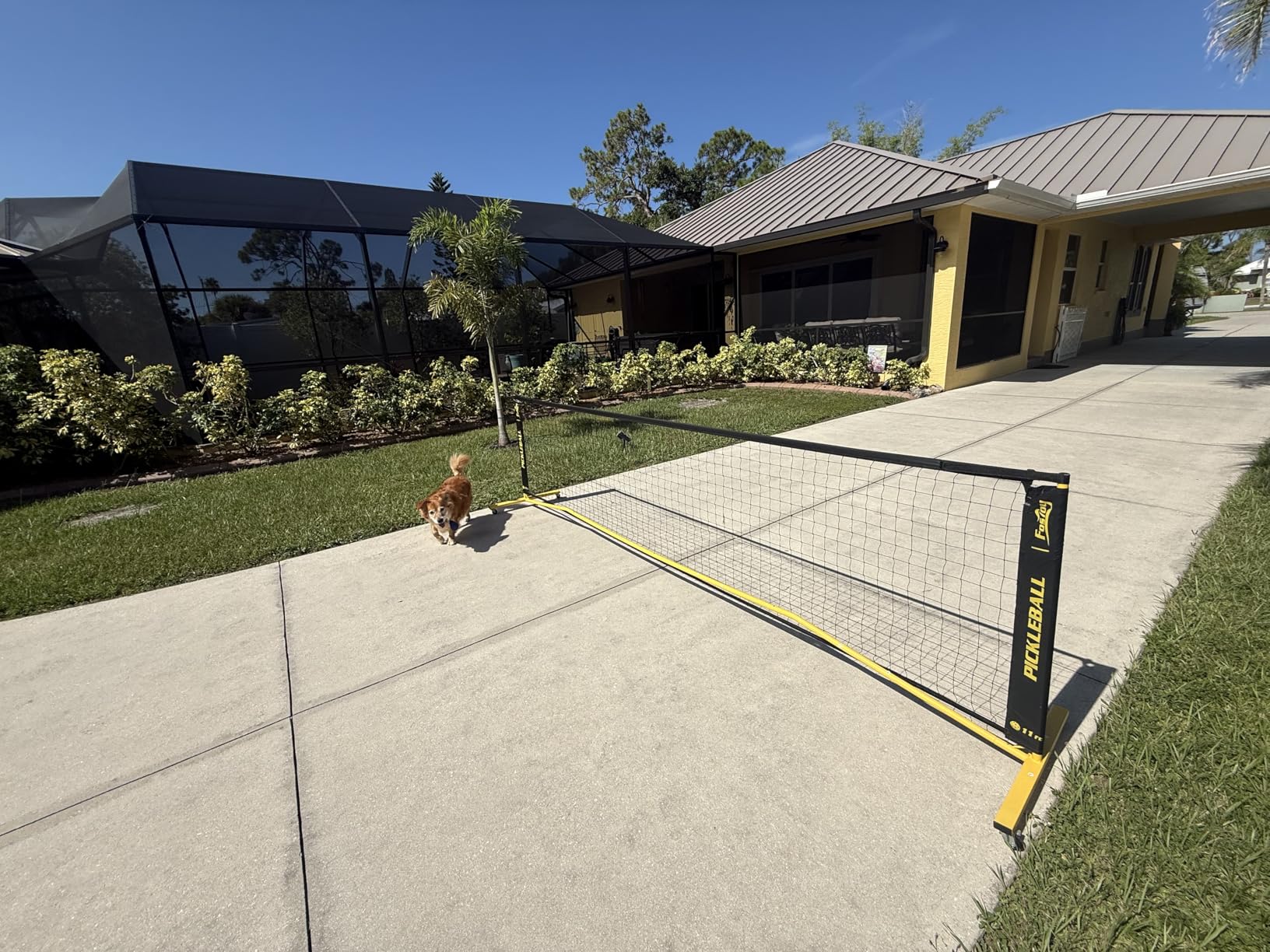 Portable Pickleball Net Set with Wheels, Regulation Size 22 FT & Half Court 11 FT, Steady Metal Frame Pickle Ball Net Set System with Carry Bag for Backyards, Driveways, and Garages customer photo 1